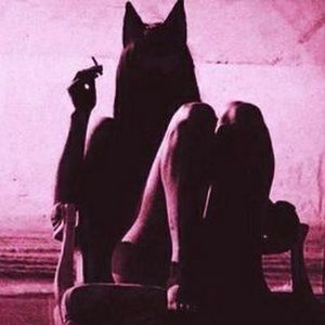 Meet your Posher, Cali